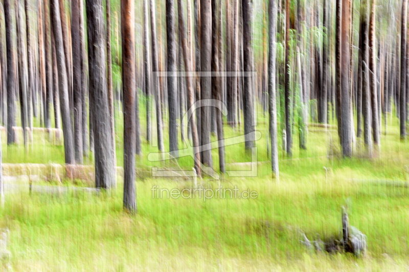 frei wählbarer Bildausschnitt für Ihr Bild auf Leinwand