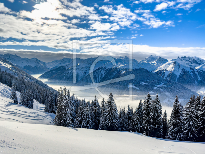 frei wählbarer Bildausschnitt für Ihr Bild auf Leinwand