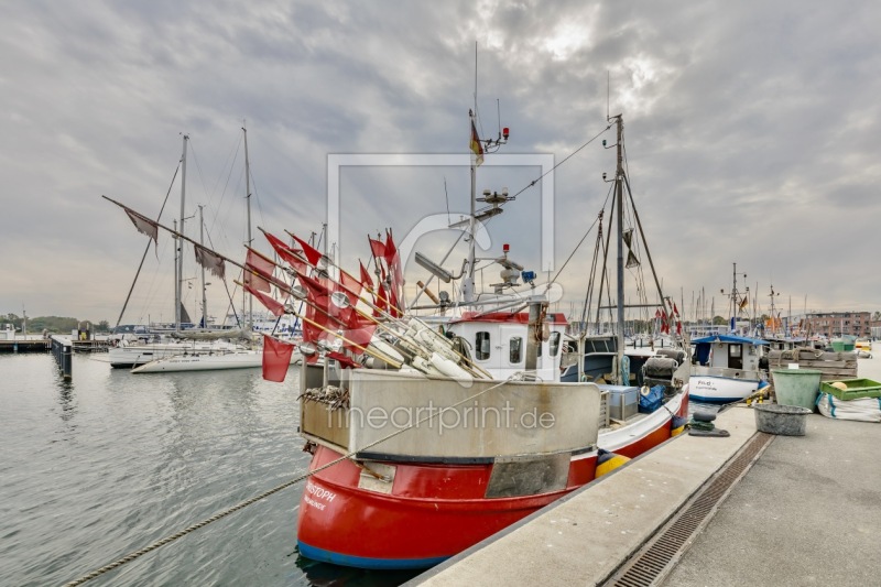 frei wählbarer Bildausschnitt für Ihr Bild auf Leinwand