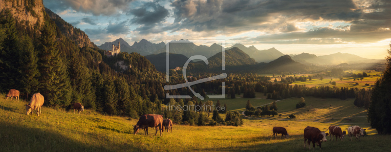 frei wählbarer Bildausschnitt für Ihr Bild auf Leinwand