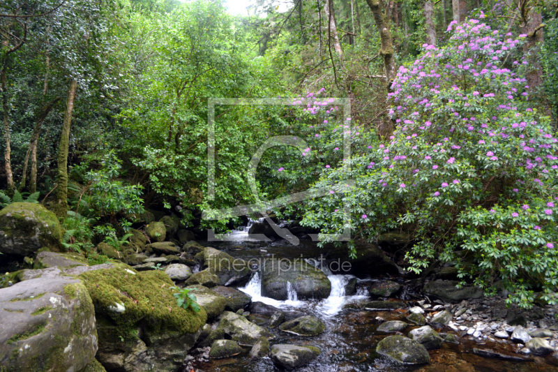 frei wählbarer Bildausschnitt für Ihr Bild auf Leinwand