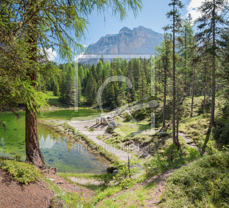 frei wählbarer Bildausschnitt für Ihr Bild auf Leinwand