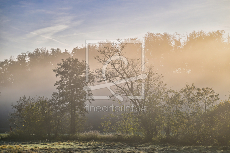 frei wählbarer Bildausschnitt für Ihr Bild auf Leinwand