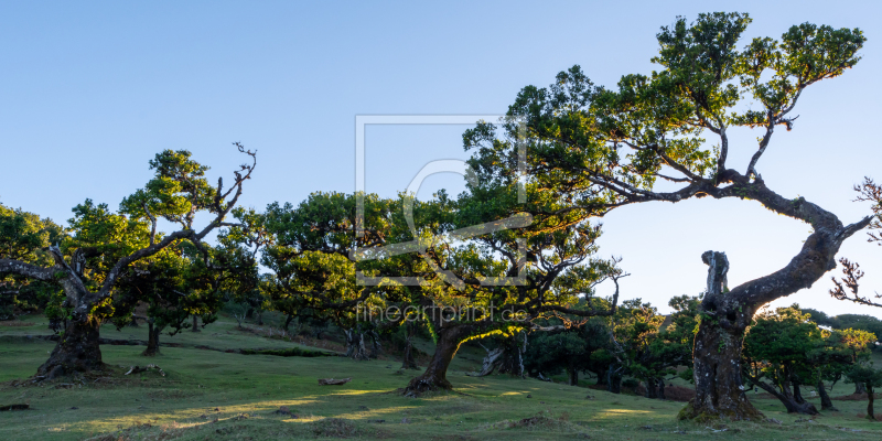 frei wählbarer Bildausschnitt für Ihr Bild auf Leinwand