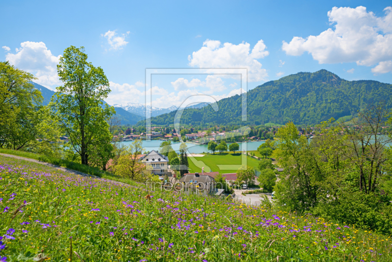 frei wählbarer Bildausschnitt für Ihr Bild auf Leinwand