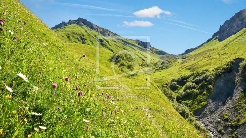 frei wählbarer Bildausschnitt für Ihr Bild auf Leinwand