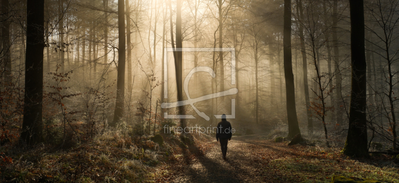 frei wählbarer Bildausschnitt für Ihr Bild auf Leinwand