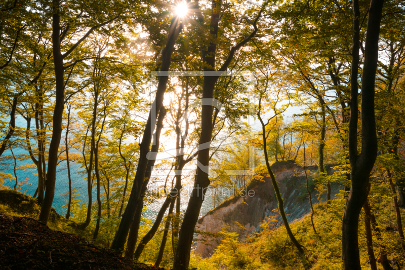 frei wählbarer Bildausschnitt für Ihr Bild auf Leinwand