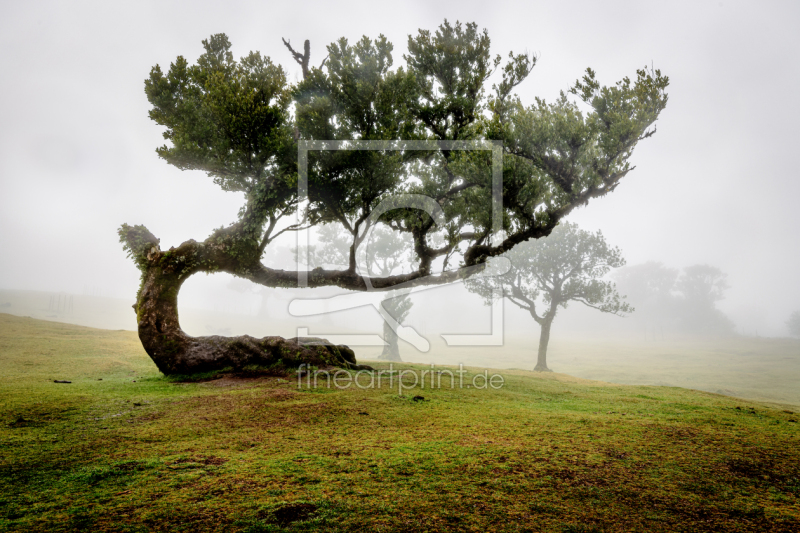 frei wählbarer Bildausschnitt für Ihr Bild auf Leinwand