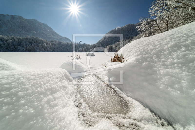 frei wählbarer Bildausschnitt für Ihr Bild auf Leinwand