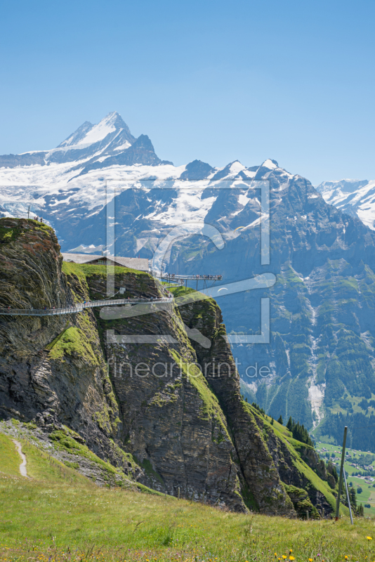 frei wählbarer Bildausschnitt für Ihr Bild auf Leinwand