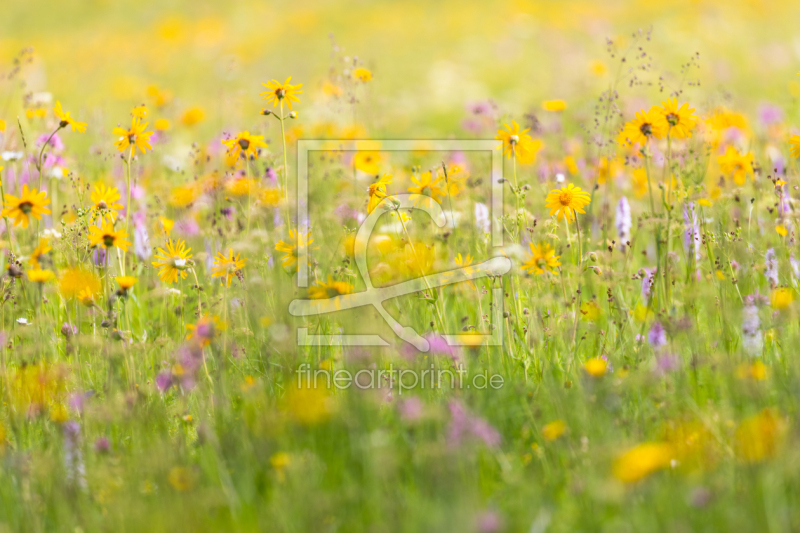 frei wählbarer Bildausschnitt für Ihr Bild auf Leinwand