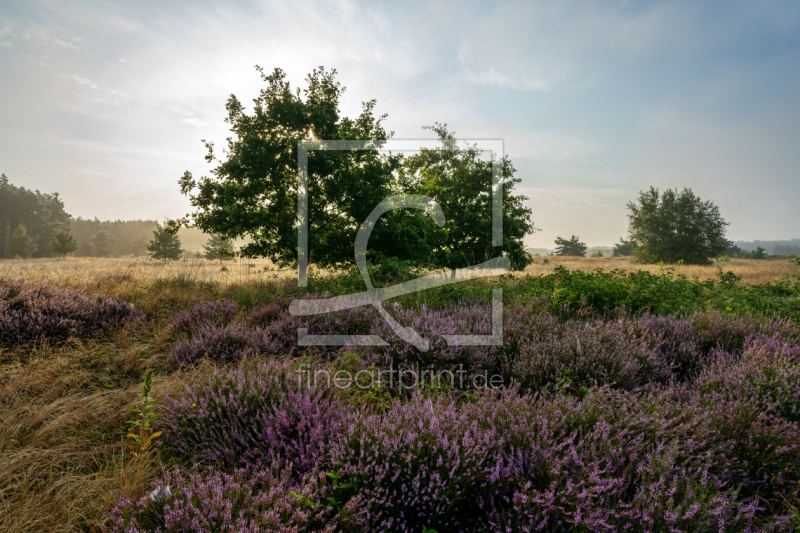 frei wählbarer Bildausschnitt für Ihr Bild auf Leinwand