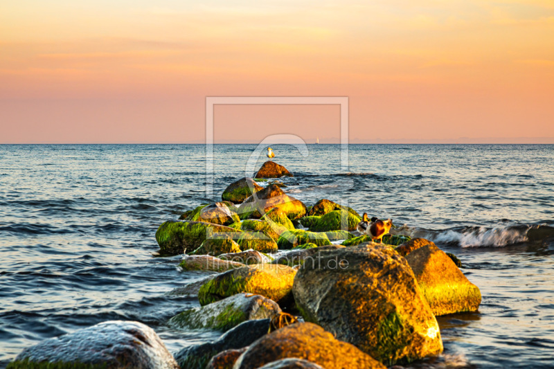 frei wählbarer Bildausschnitt für Ihr Bild auf Leinwand