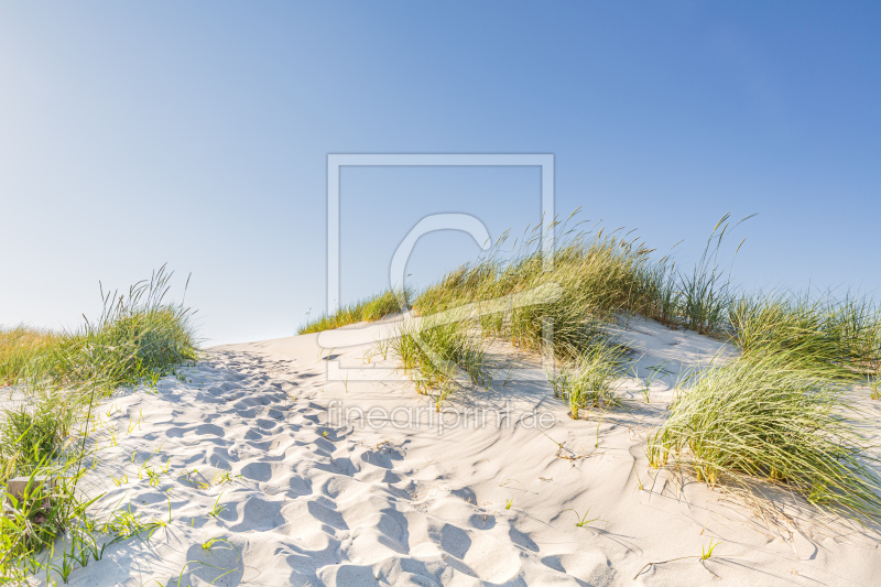 frei wählbarer Bildausschnitt für Ihr Bild auf Leinwand