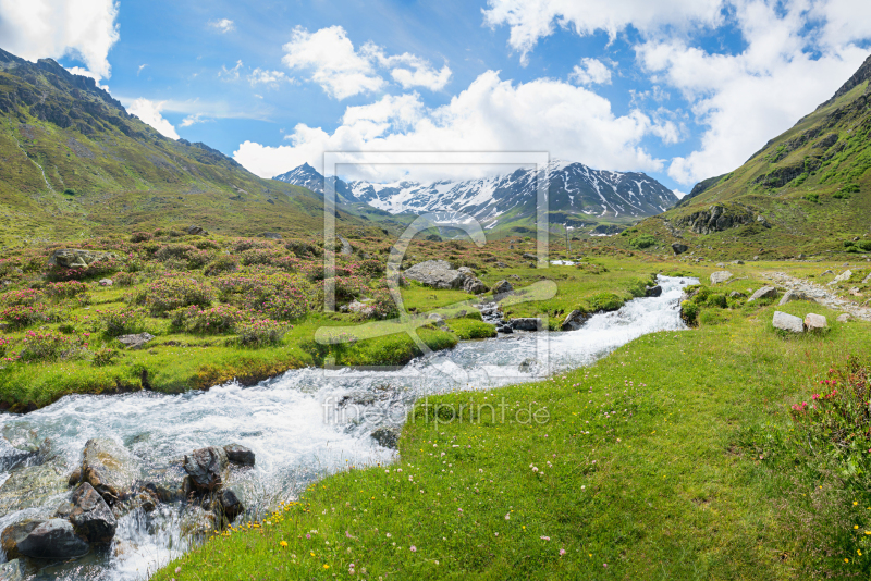frei wählbarer Bildausschnitt für Ihr Bild auf Leinwand