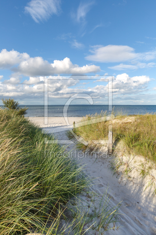 frei wählbarer Bildausschnitt für Ihr Bild auf Leinwand