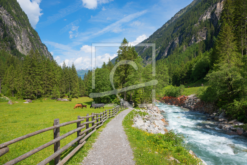 frei wählbarer Bildausschnitt für Ihr Bild auf Leinwand