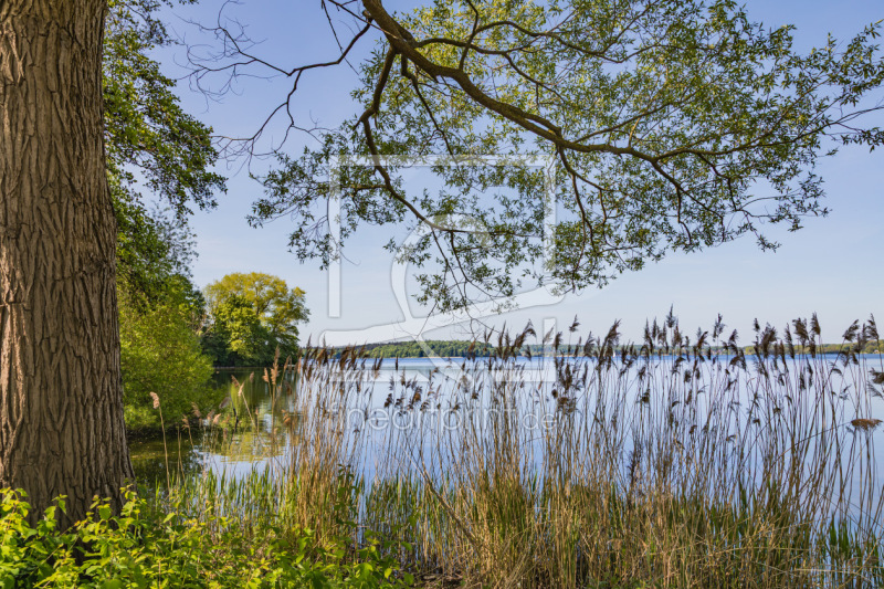 frei wählbarer Bildausschnitt für Ihr Bild auf Leinwand