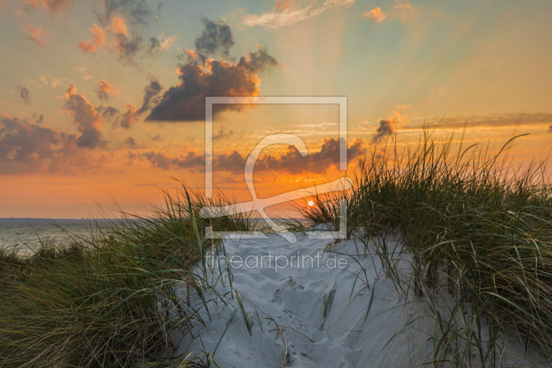 frei wählbarer Bildausschnitt für Ihr Bild auf Leinwand