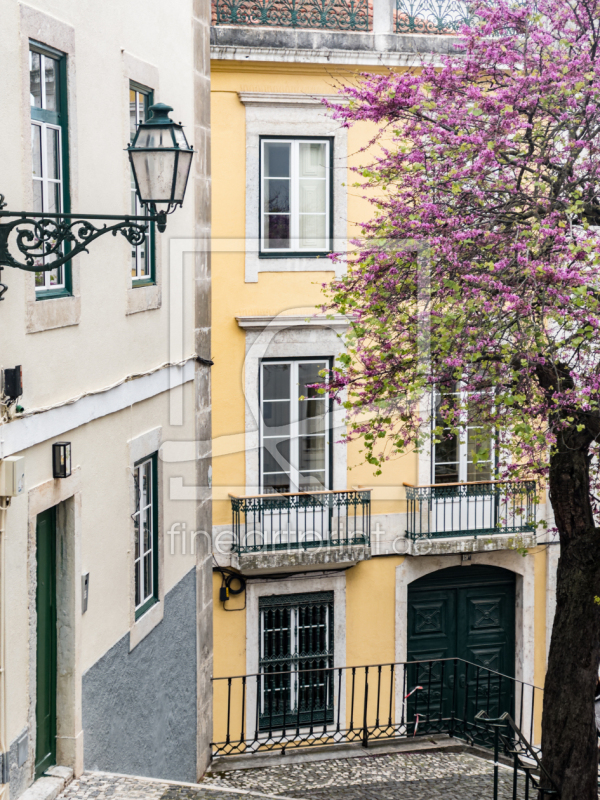 frei wählbarer Bildausschnitt für Ihr Bild auf Leinwand