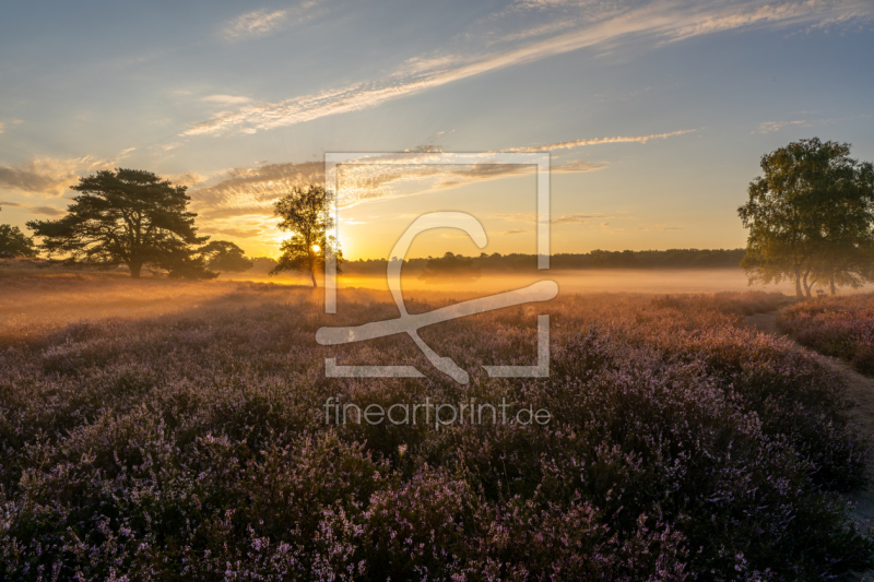 frei wählbarer Bildausschnitt für Ihr Bild auf Leinwand