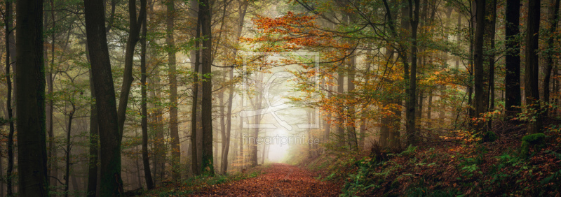 frei wählbarer Bildausschnitt für Ihr Bild auf Leinwand