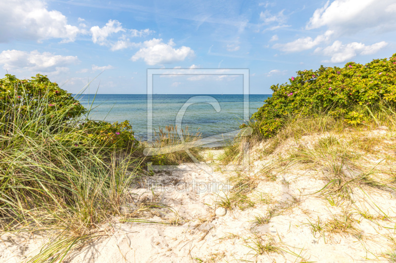 frei wählbarer Bildausschnitt für Ihr Bild auf Leinwand
