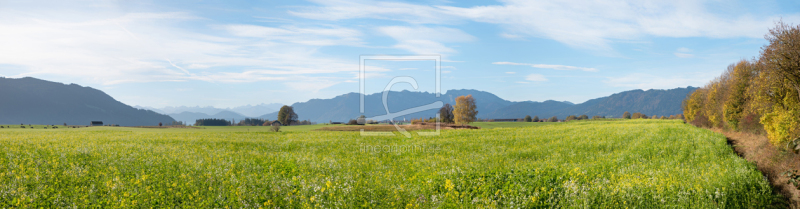 frei wählbarer Bildausschnitt für Ihr Bild auf Leinwand