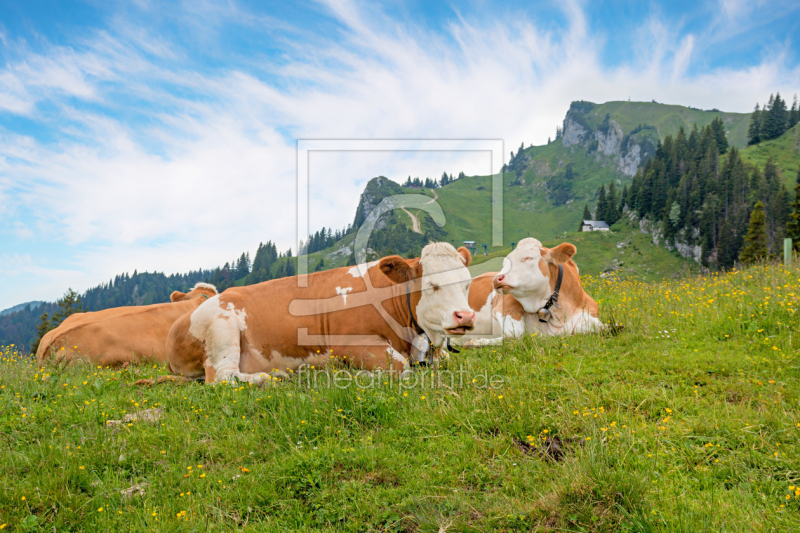 frei wählbarer Bildausschnitt für Ihr Bild auf Leinwand