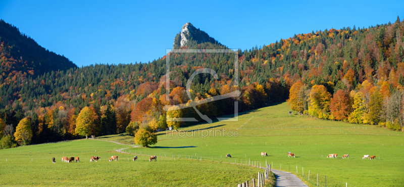 frei wählbarer Bildausschnitt für Ihr Bild auf Leinwand