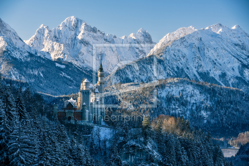 frei wählbarer Bildausschnitt für Ihr Bild auf Leinwand
