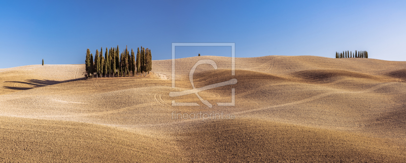 frei wählbarer Bildausschnitt für Ihr Bild auf Leinwand