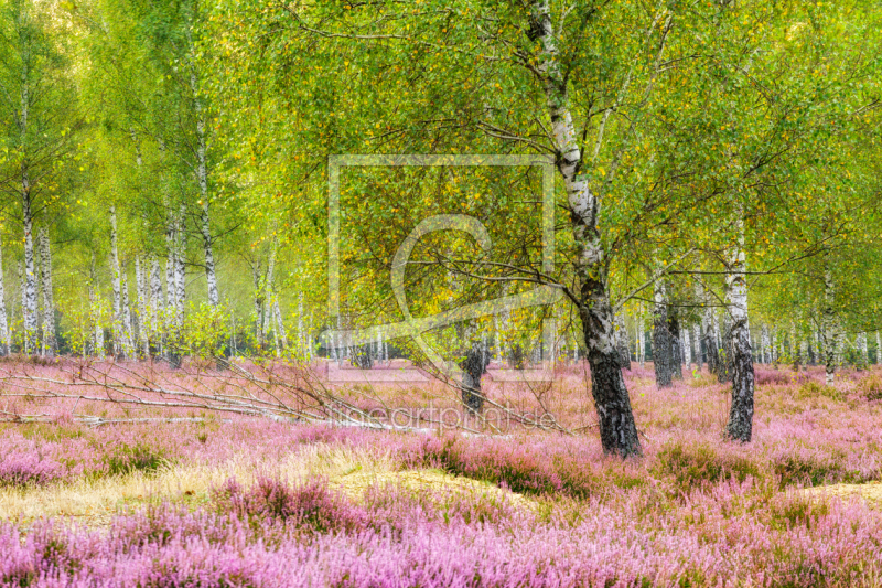 frei wählbarer Bildausschnitt für Ihr Bild auf Leinwand