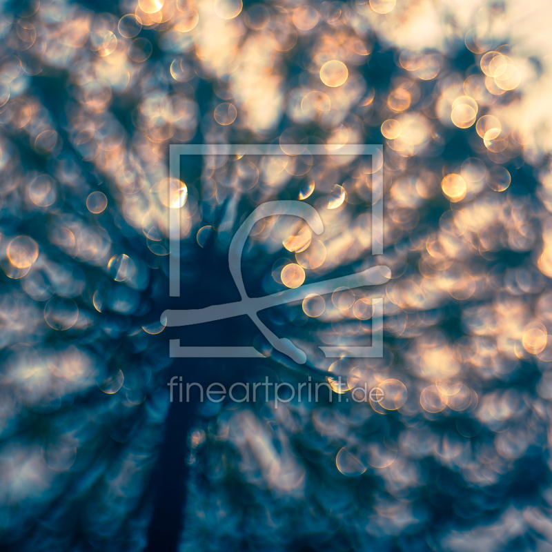 frei wählbarer Bildausschnitt für Ihr Bild auf Leinwand