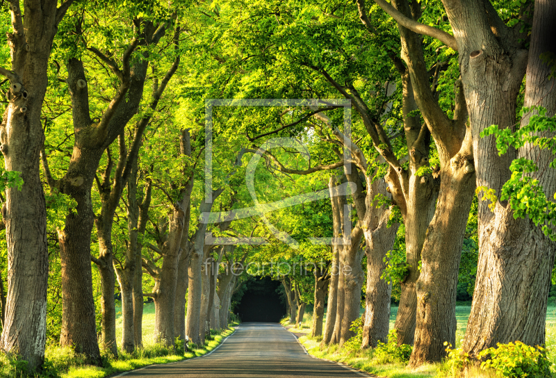 frei wählbarer Bildausschnitt für Ihr Bild auf Leinwand