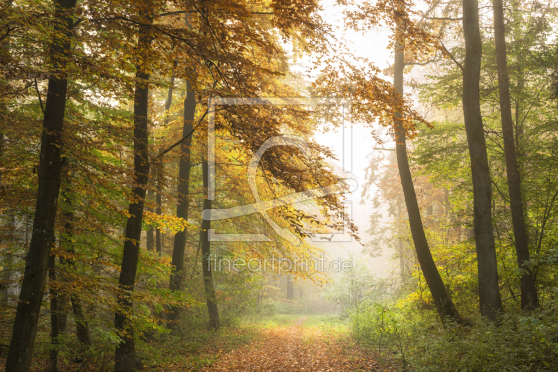 frei wählbarer Bildausschnitt für Ihr Bild auf Leinwand