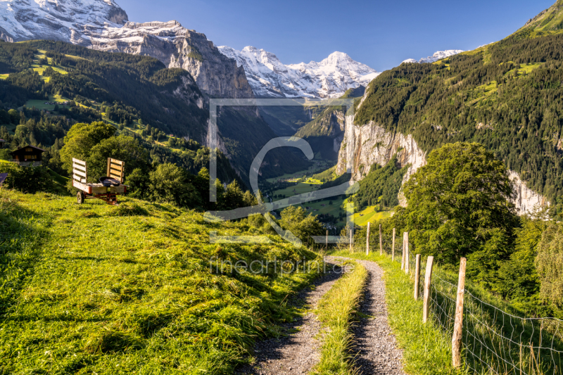 frei wählbarer Bildausschnitt für Ihr Bild auf Leinwand