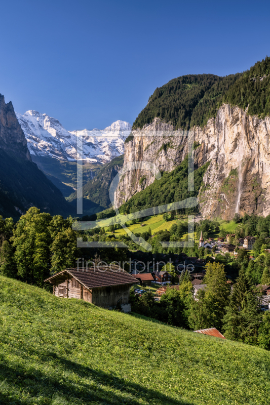 frei wählbarer Bildausschnitt für Ihr Bild auf Leinwand