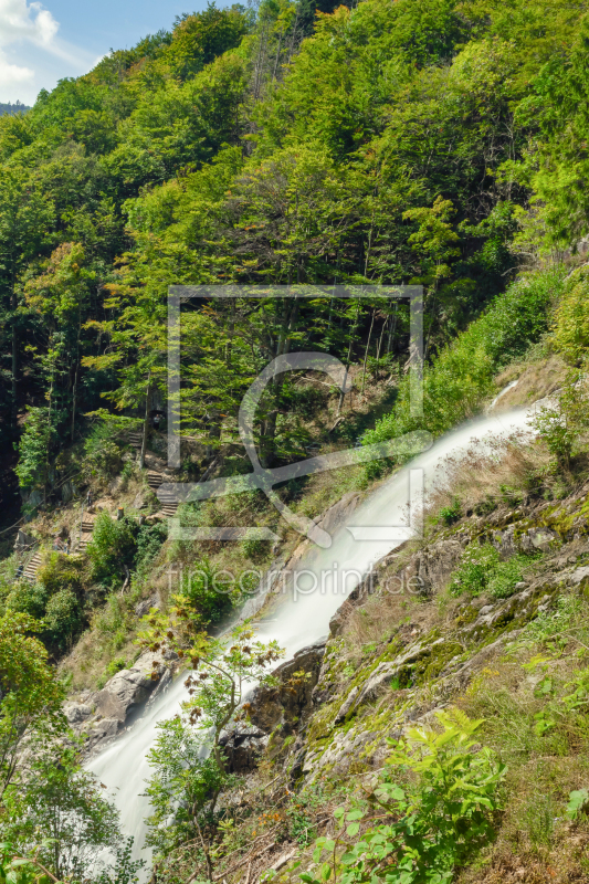 frei wählbarer Bildausschnitt für Ihr Bild auf Leinwand