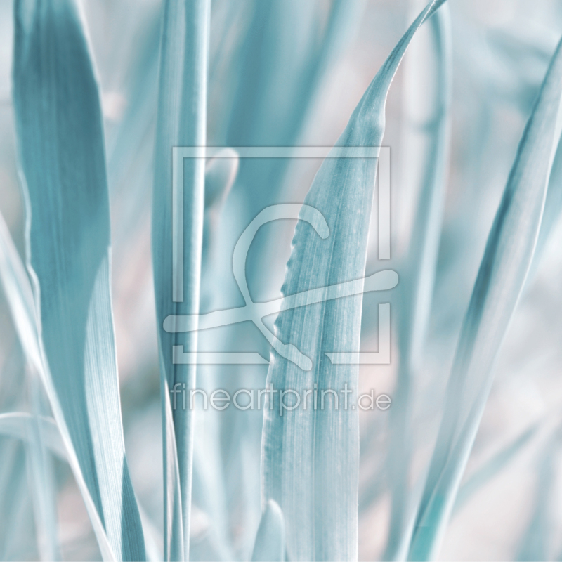 frei wählbarer Bildausschnitt für Ihr Bild auf Leinwand