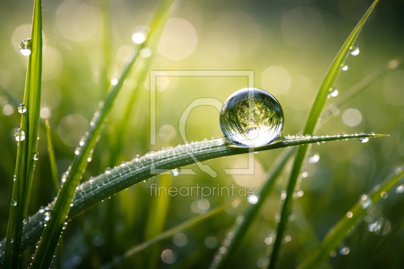 frei wählbarer Bildausschnitt für Ihr Bild auf Leinwand