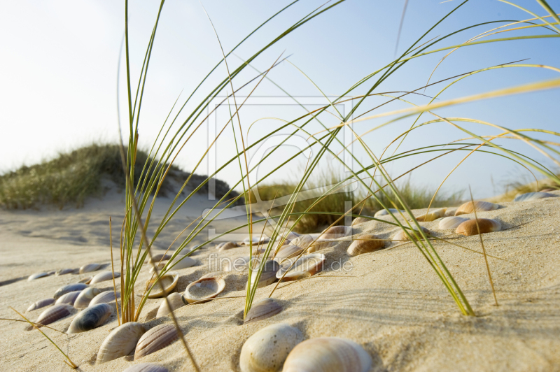 frei wählbarer Bildausschnitt für Ihr Bild auf Leinwand