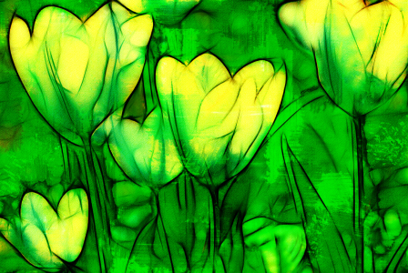 Bild-Nr: 10006167 Tulpen  Erstellt von: Atteloi