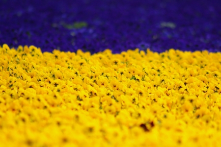 Bild-Nr: 10012321 Season´s colours Erstellt von: youhaveadream