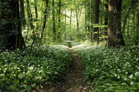 Bild-Nr: 10058385 Frühlingsspaziergang Erstellt von: Renate Knapp