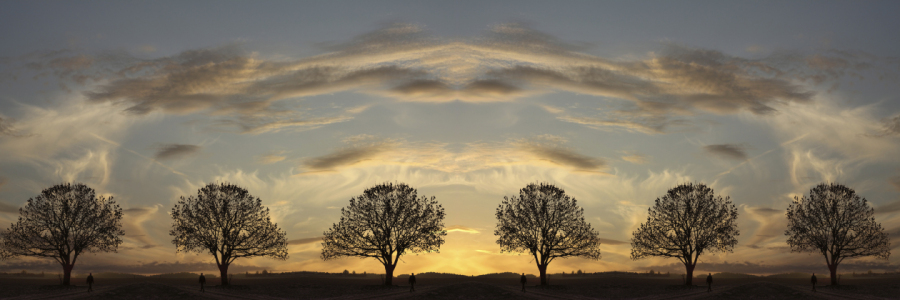 Bild-Nr: 10137714 Sunset Trees Erstellt von: SusaZoom