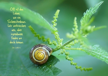 Bild-Nr: 10601556 What a wonderful world Erstellt von: youhaveadream
