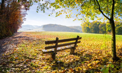 Bild-Nr: 10946813 Goldener Herbst Erstellt von: eyetronic
