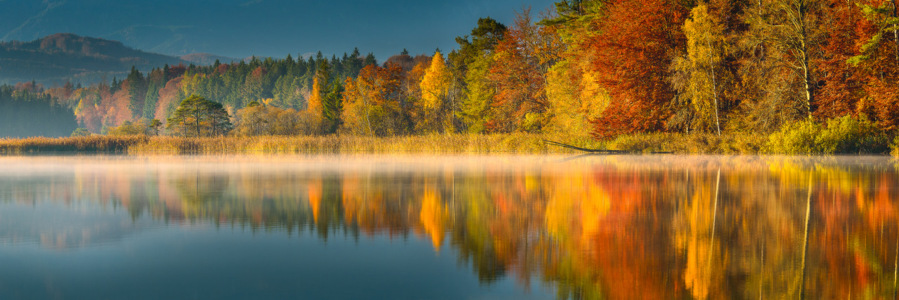Bild-Nr: 11076149 COLORS OF FALL Erstellt von: DenisFeiner